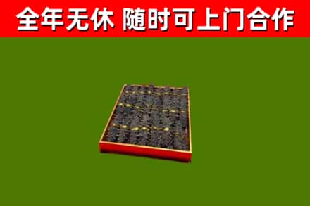 红安回收海参